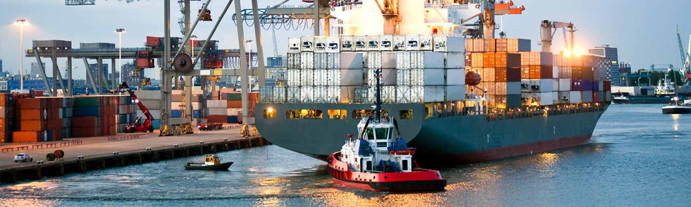 Sanvi Packers and Movers